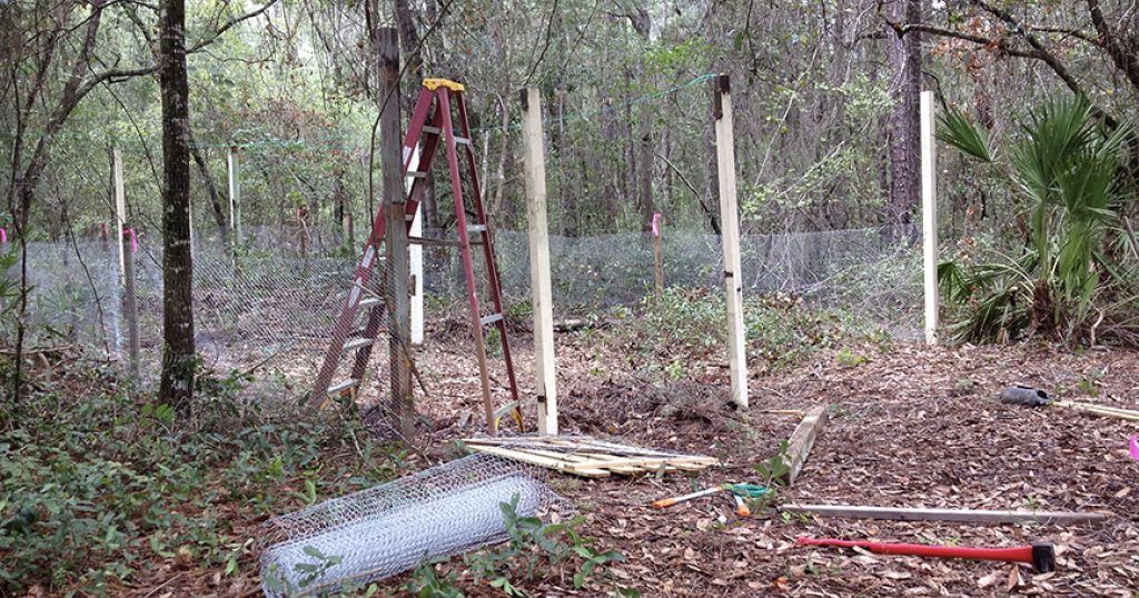 Setting the Perimeter Posts