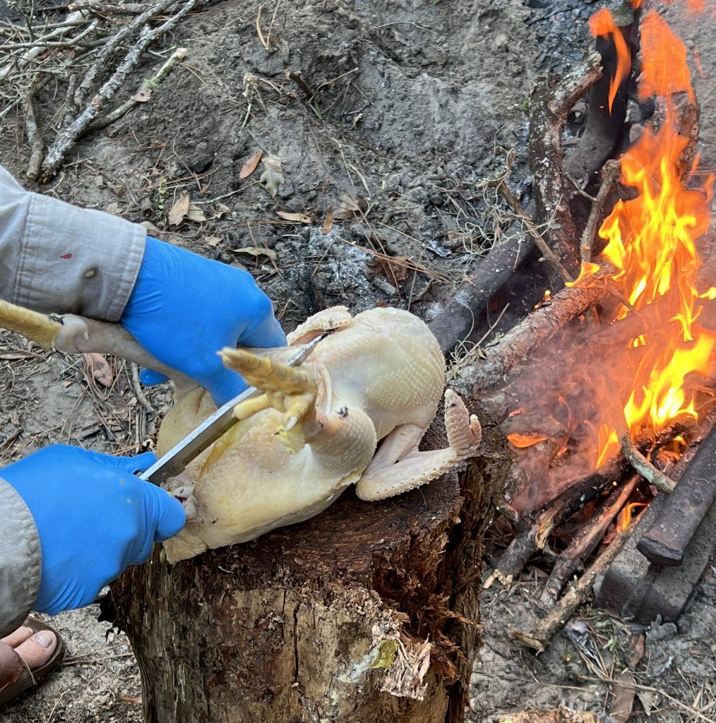 Slicing the Hen