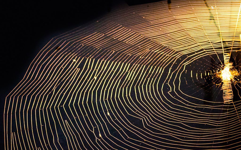 Spider Web Solar System