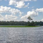 St. Johns River Scene