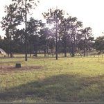 The Herb Garden - Oct '89