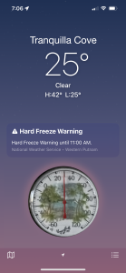 The Big Chill