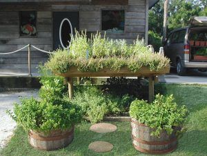 The Blue WaterBay Herb Garden