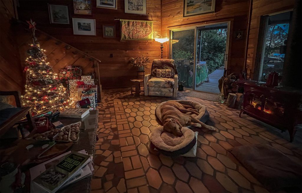 The 'Children' were snuggled all in their bed...