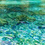 The Colorful Rainbow River