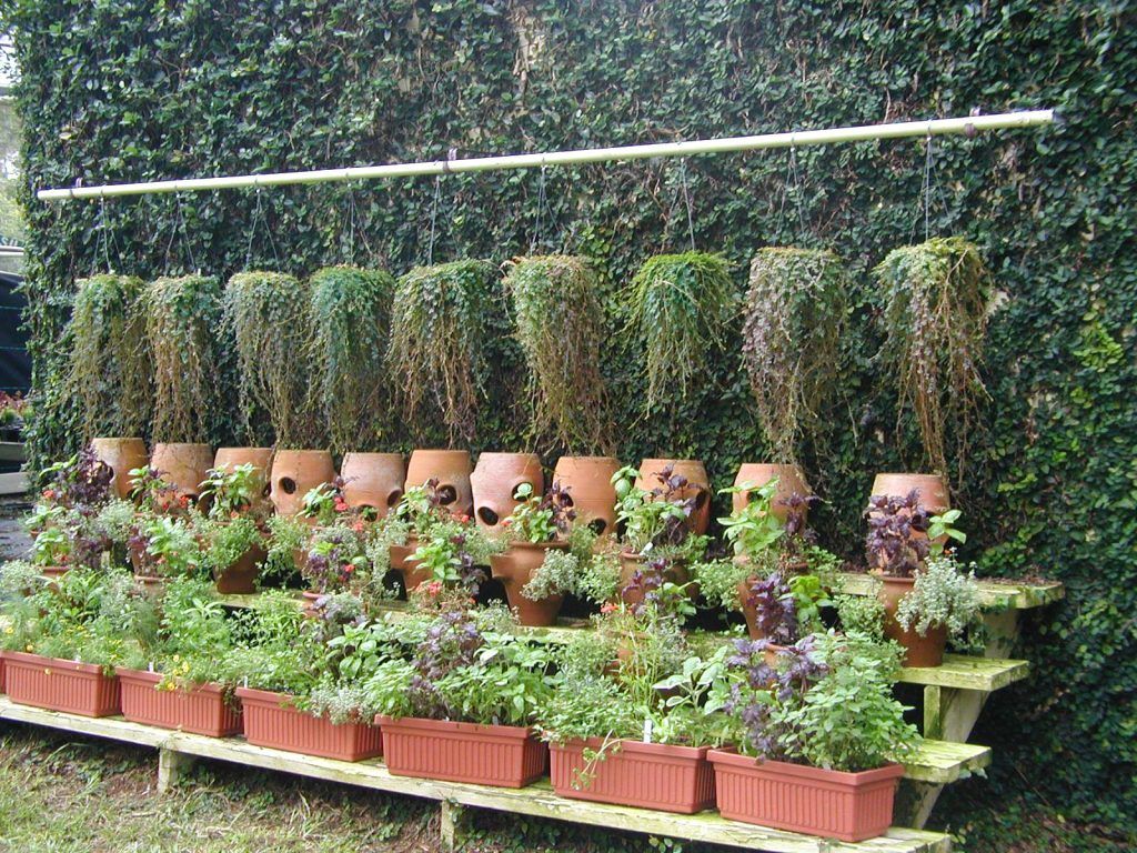 The Herb Garden Front Display