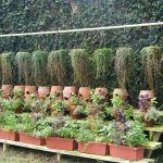The Herb Garden Front Display
