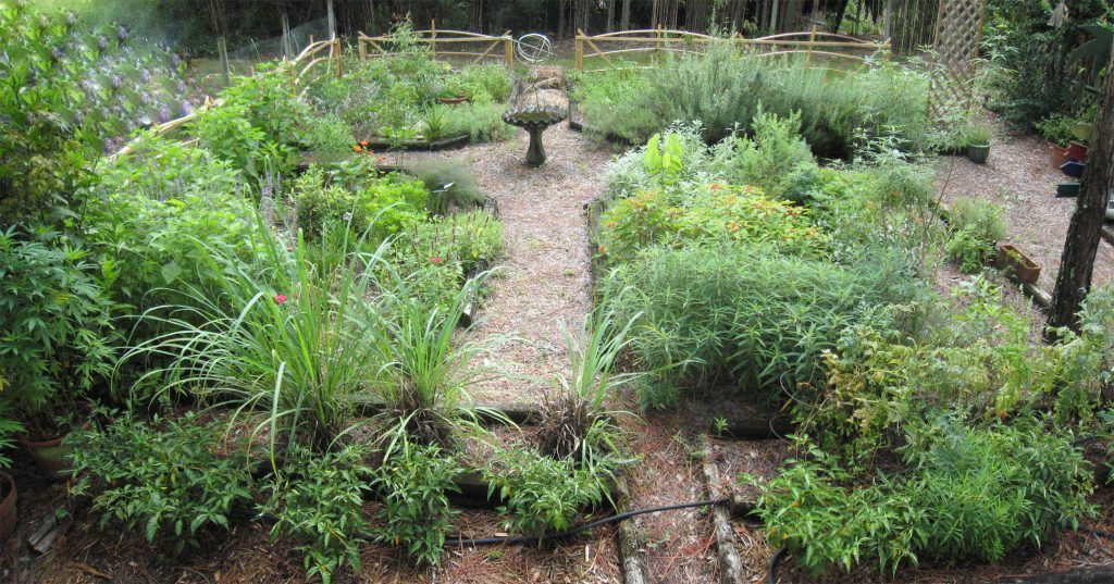 The Herb Garden