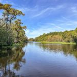 The Ocklawaha River