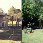 The Potting Shed Old & New