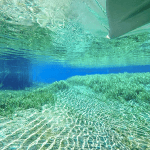 The Rainbow River
