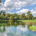 The Scenic Rainbow River