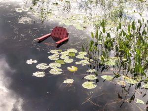 Water continues to rise