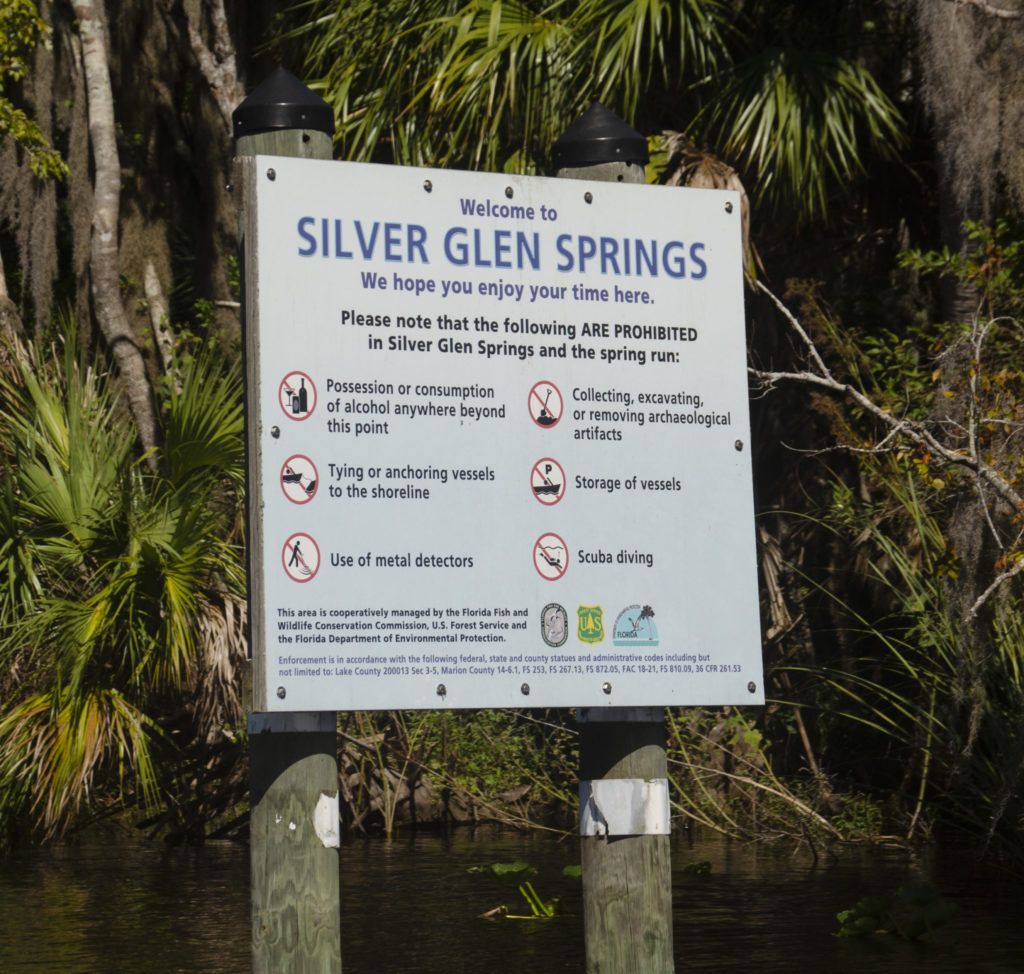 to Silver Glen Springs James J Steele