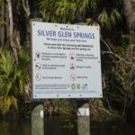Welcome to Silver Glen Springs