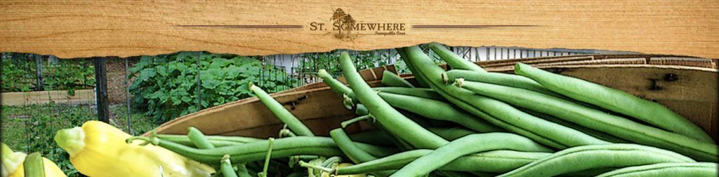 featured image - cove garden