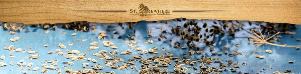 featured image - seed saving