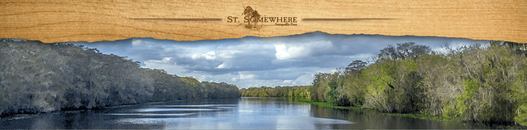 featured image - st johns river