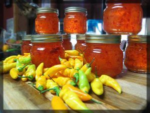 Datil Pepper Jelly