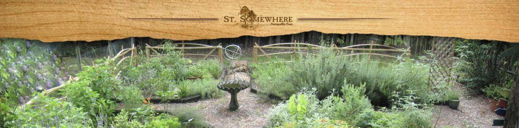 featured image - herb garden