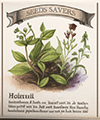 AI ICon Seed Savers