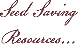 heading sidebar - seed saving
