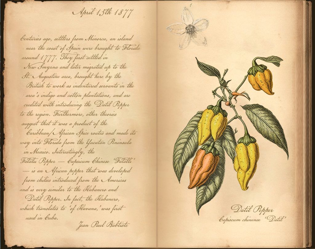 Datil Pepper Journal
