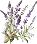 icon AI FAQ Lavender