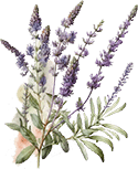 icon AI FAQ Lavender