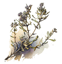 icon AI FAQ Thyme