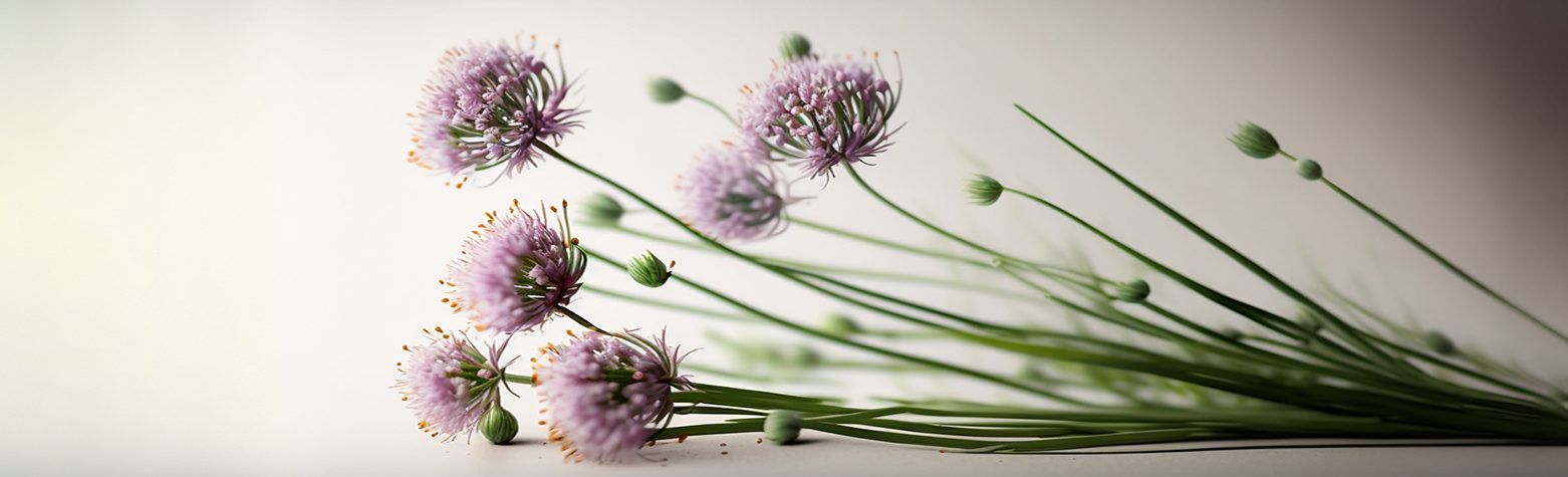 Chive Blossom Vinegar