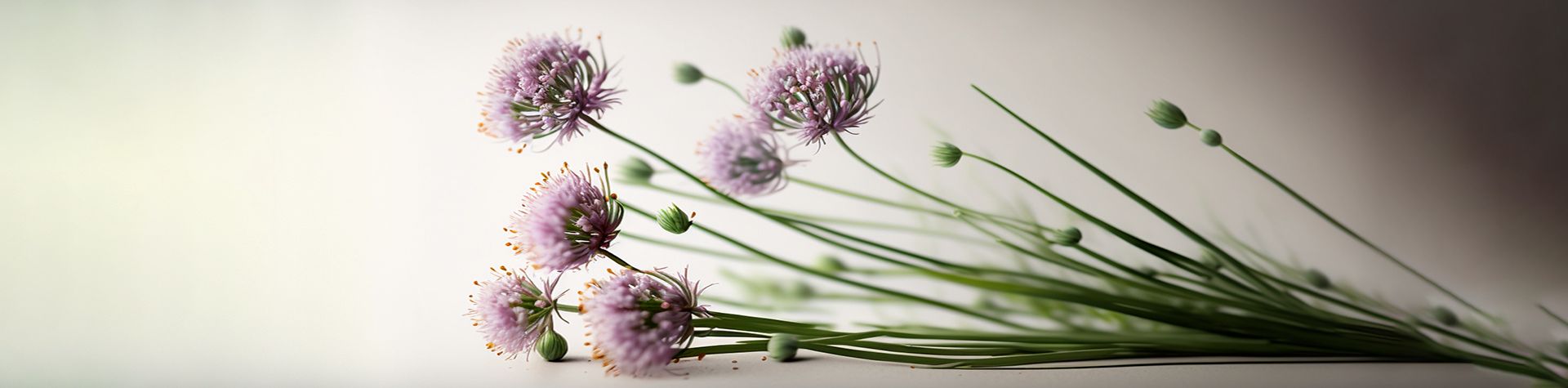 Chive Blossom Vinegar