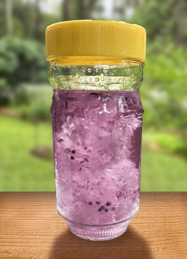 ChiveBlossom Vinegar