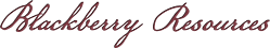 sidebar blackberry header