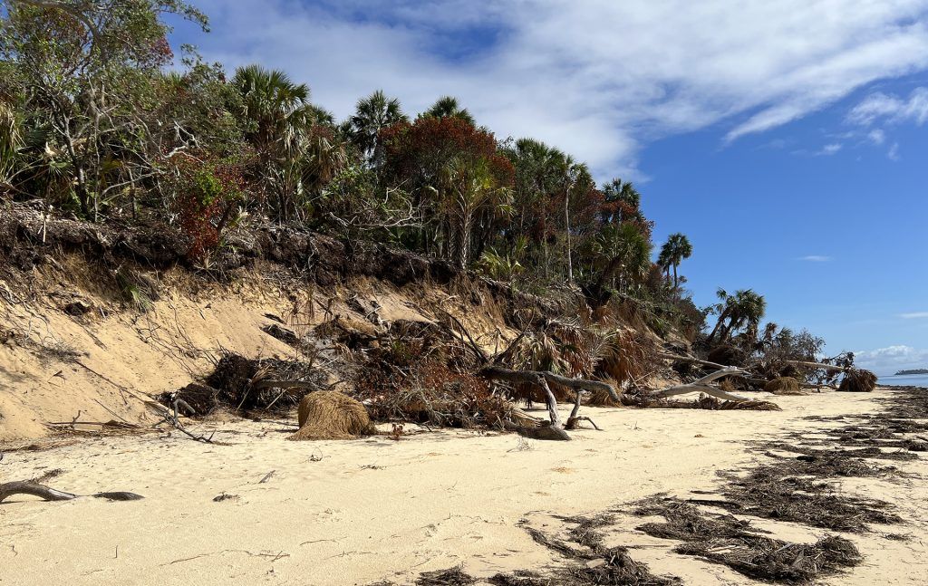 Eroded Seahorse Shoreline