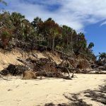 Eroded Seahorse Shoreline