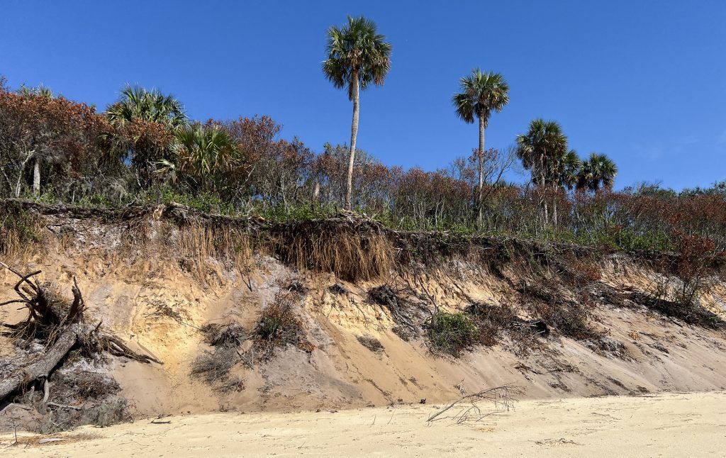 Erosion on Seahorse Key