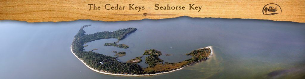 FI - Seahorse Key