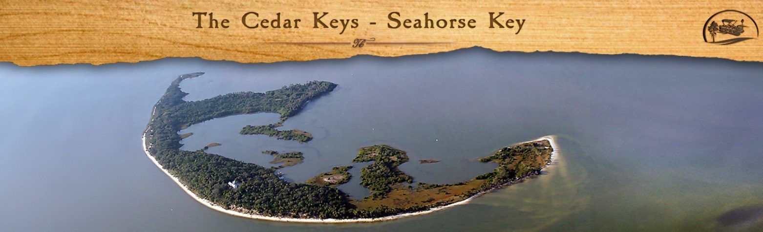The Cedar Keys – Seahorse Key