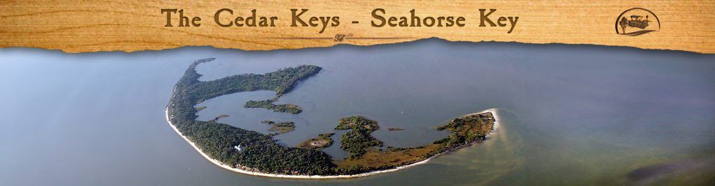 Featured Image - Seahorse Key