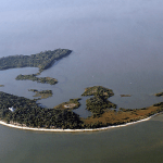 Seahorse Key