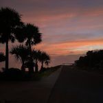 Sunset Silhouettes