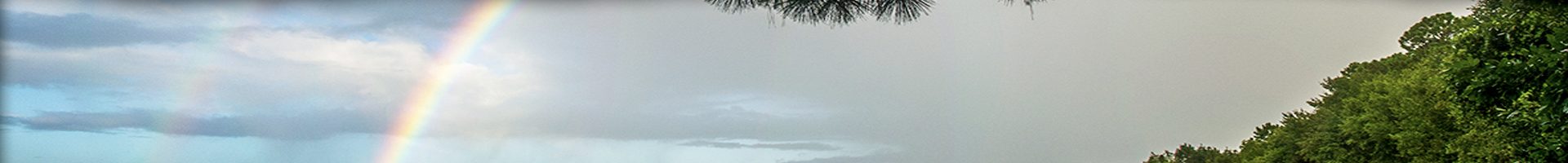 April Observations
