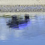 Cabana Daydreaming - Reflection
