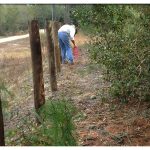 Lining up posts along front