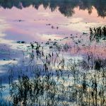 Pastel Reflection