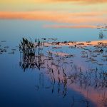 Pond Sunset Reflection