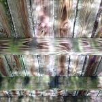 Pond reflect under the dock