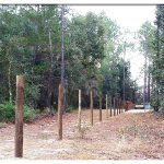 Post along East Property Line