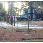 Posts along East property Line